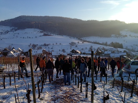 130126_Rebenschneidkurs_Wintersingen1