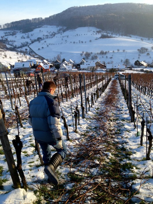 130126_Rebenschneidkurs_Wintersingen2