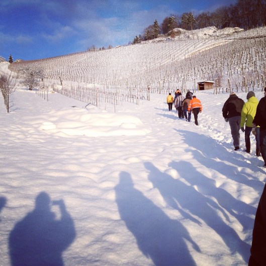 130109_Rebenschneidkurs_Tschaepperli_Aesch_2