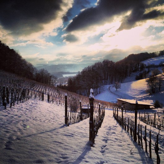 130109_Rebenschneidkurs_Tschaepperli_Aesch_3