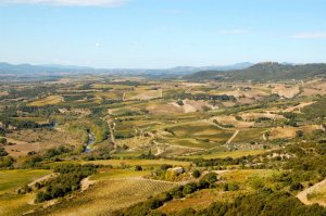 539448_533697189980585_1799115115_n