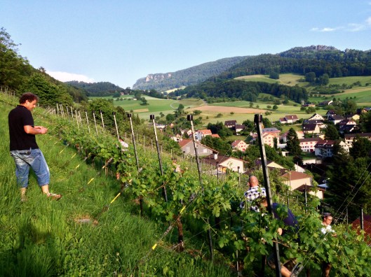 Himmelluepfer_Dielenberg_Oberdorf_BL_1