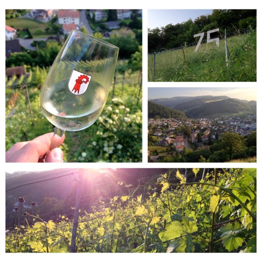 Himmelluepfer_Dielenberg_Oberdorf_BL_10