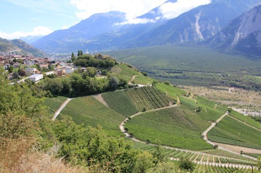 Walliser Weininsel: Varen, Heimat des Winzers Andy Varonier.