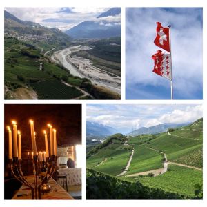 Bonvinvant_Varen_Varonier7