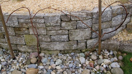 140214_Reben_Schnitt_web-edit4