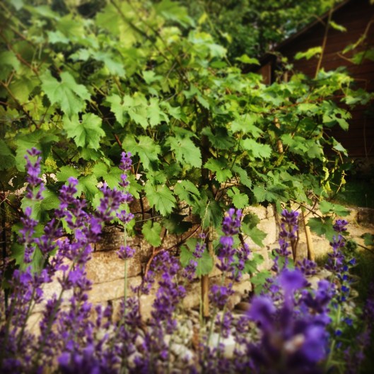 2014-06-11 20.02.47 HDR