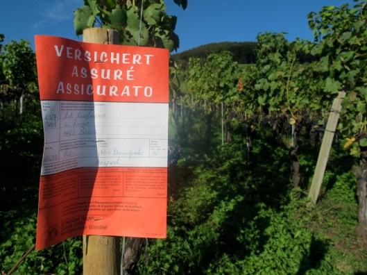 Wy-Erlaebnis_2014_Web-Selection_11