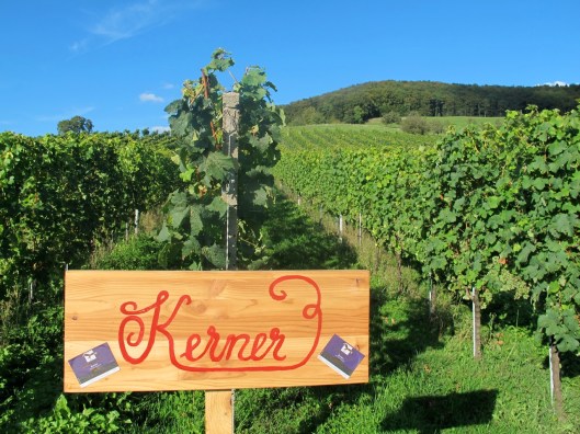 Wy-Erlaebnis_2014_Web-Selection_13