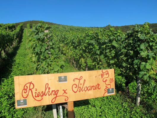 Wy-Erlaebnis_2014_Web-Selection_14