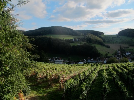 Wy-Erlaebnis_2014_Web-Selection_15