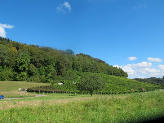 Wy-Erlaebnis_2014_Web-Selection_5