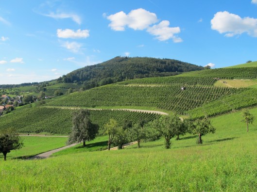 Wy-Erlaebnis_2014_Web-Selection_7