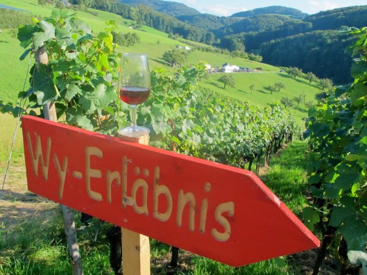 Wy-Erlaebnis_2014_Web-Selection_9