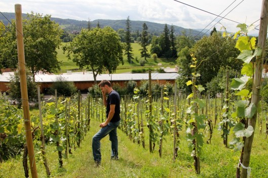 Schlipf-Winzer_Thomas_Jost_Selection_Web11