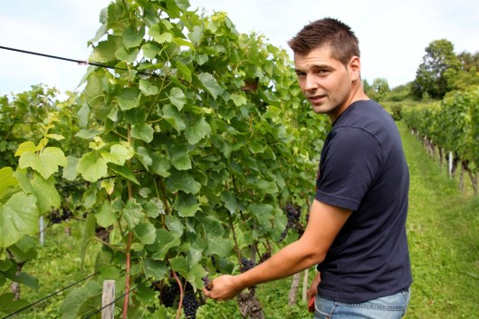 Winzer im eigenen Rebberg: Thomas Jost übernahm Anfang 2014 die Pacht des Schlipf von Rebmeister Köbi Kurz. 