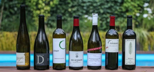 160828_brandha%cc%88rd_siebe-dupf-tasting-16web