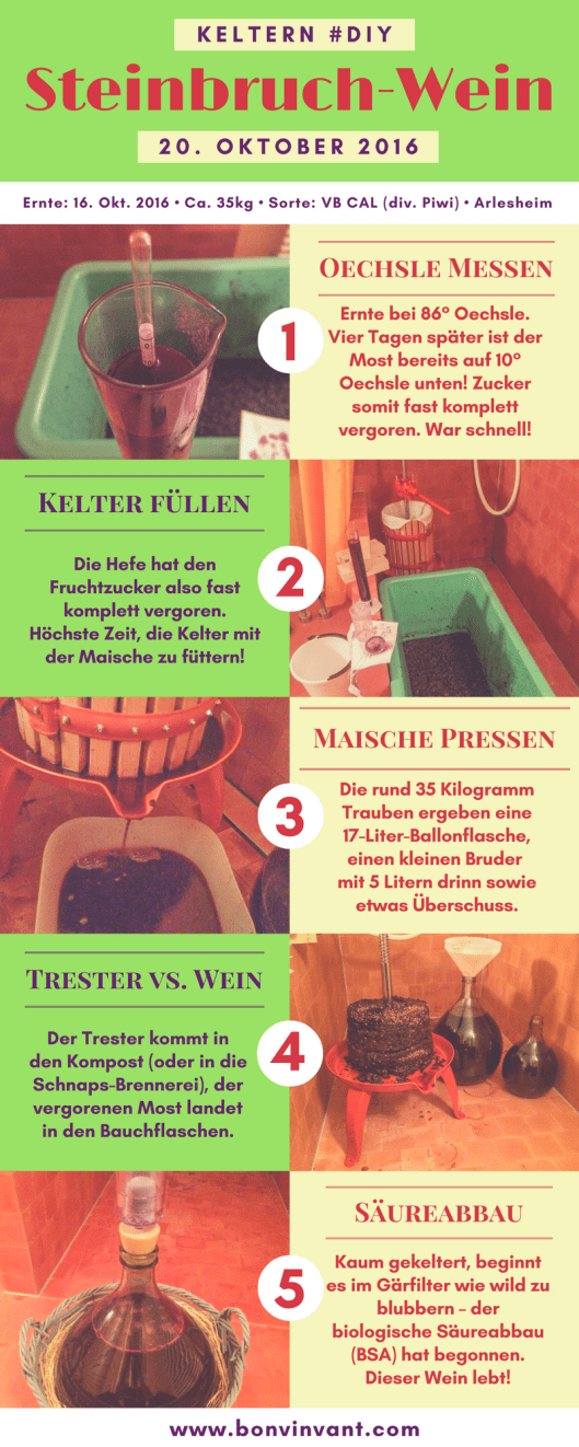 161020_steinbruch-wein_keltern_grafik