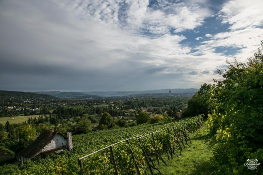 170112_bonvinvant_thomas_jost_aussicht_archivbild_2015