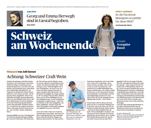 170506_Joel_Gernet_Kolumne_Schweiz-am-Wochenende_Craft-Wein_1x1_edit