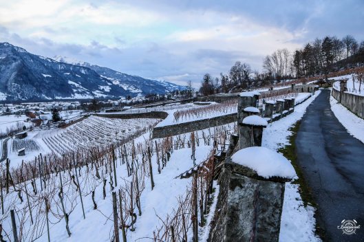 1601_Malans-Reportage_Bonvinvant-92