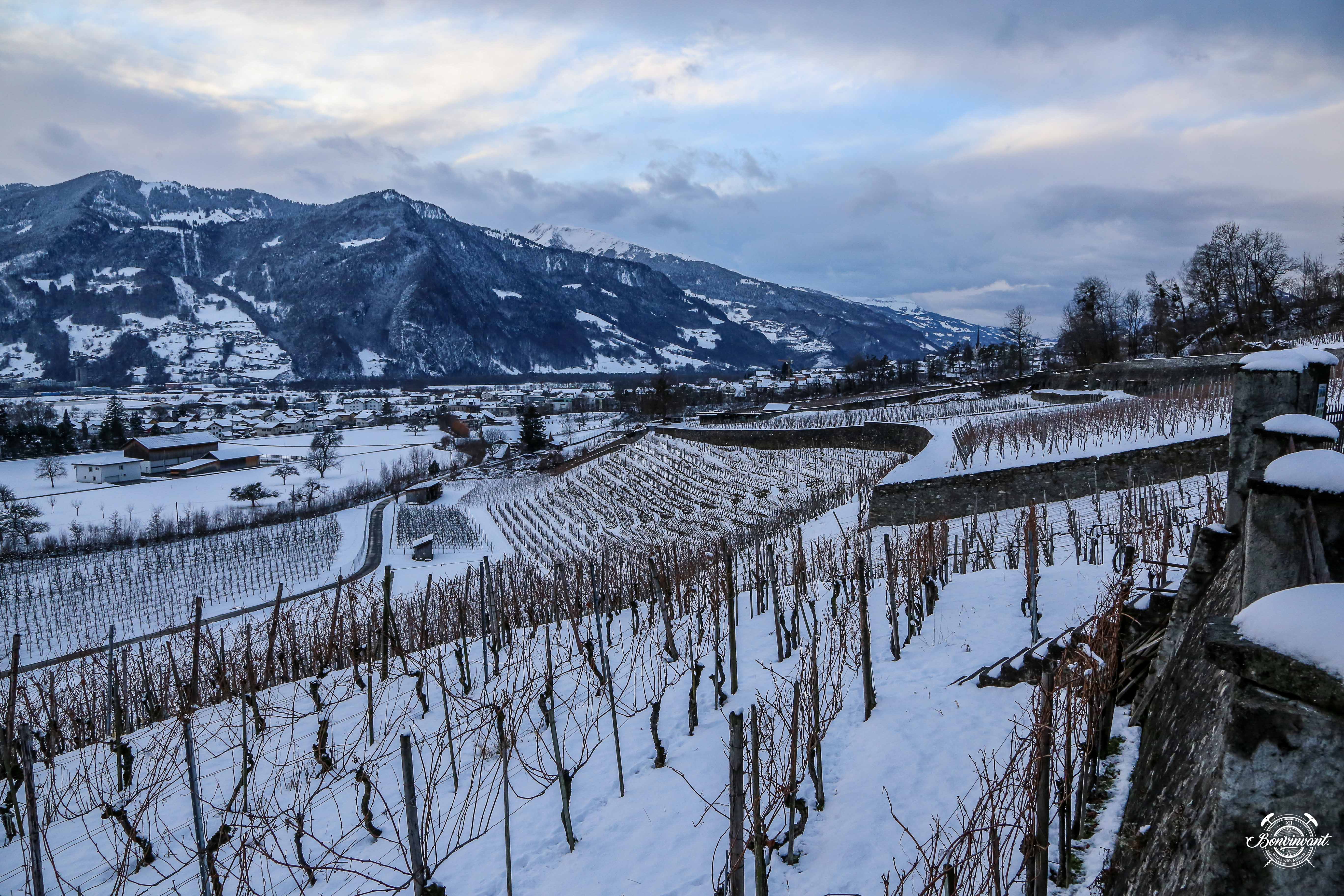 1601_Malans-Reportage_Bonvinvant-91