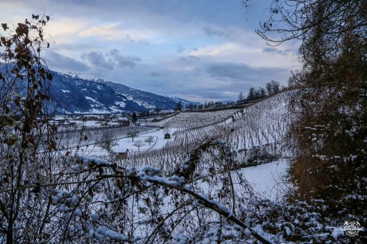 1601_Malans-Reportage_Bonvinvant-95