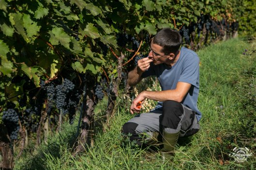 180531_Quergut_Steinbruch_Bioweinpreis_BVNT_web-4