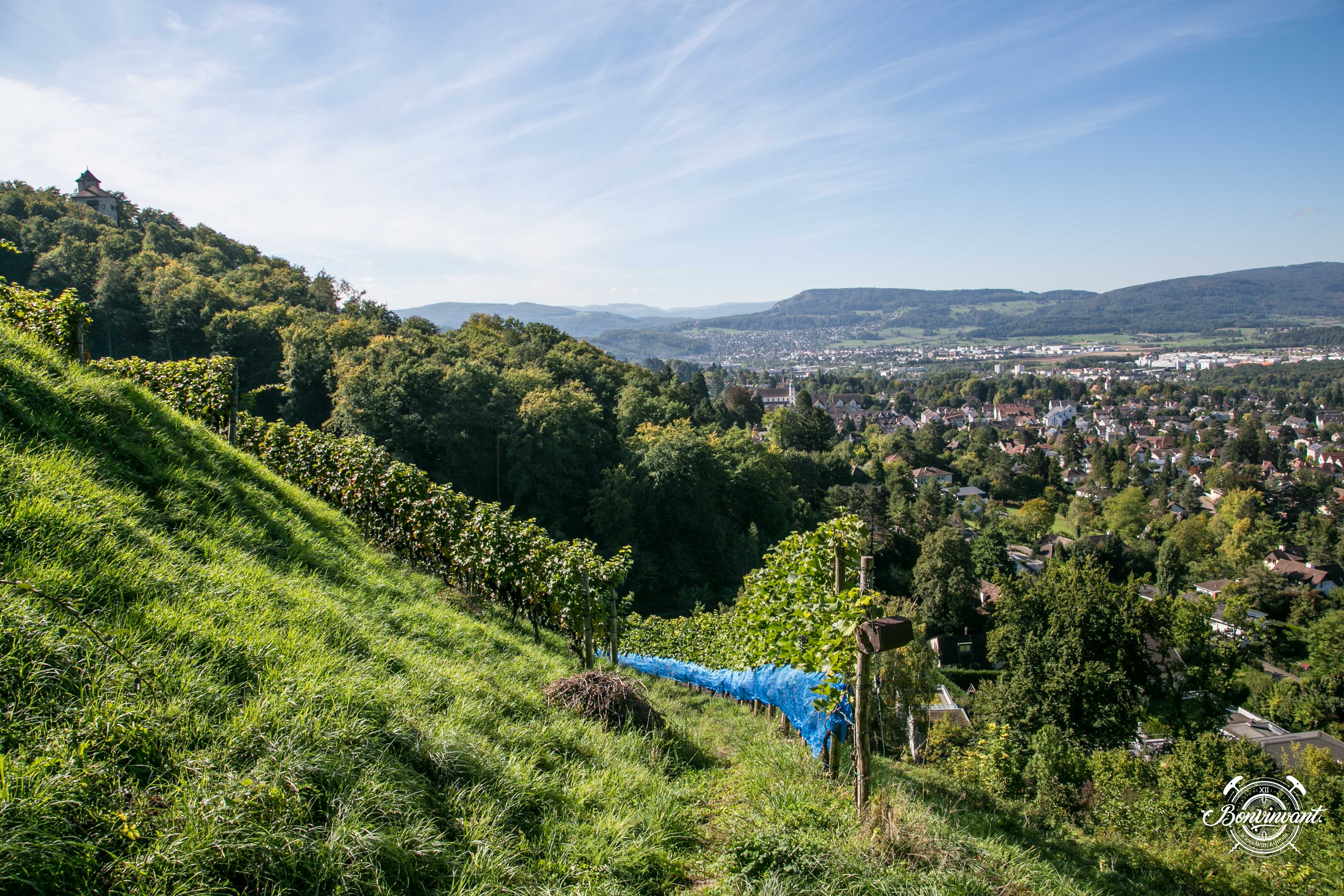 180531_Quergut_Steinbruch_Bioweinpreis_BVNT_web-6