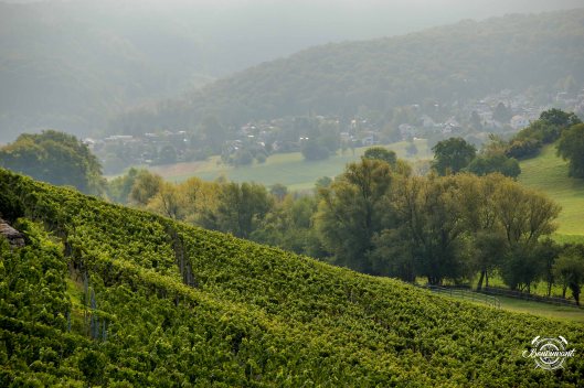 2018-08-29_Aesch_Klus_BVNT_web-12