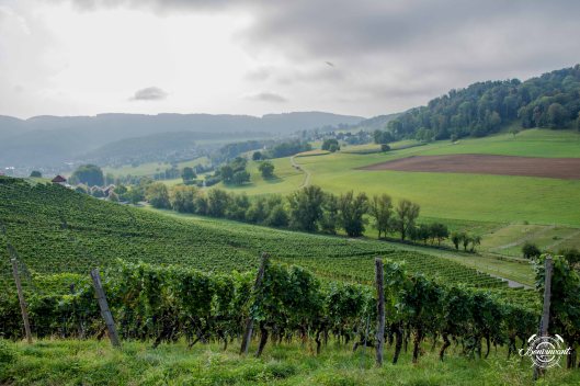 2018-08-29_Aesch_Klus_BVNT_web-20