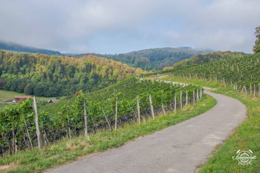 2018-08-29_Aesch_Klus_BVNT_web-23