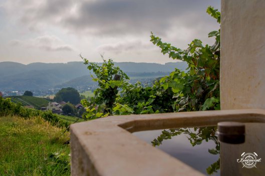 2018-08-29_Aesch_Klus_BVNT_web-30