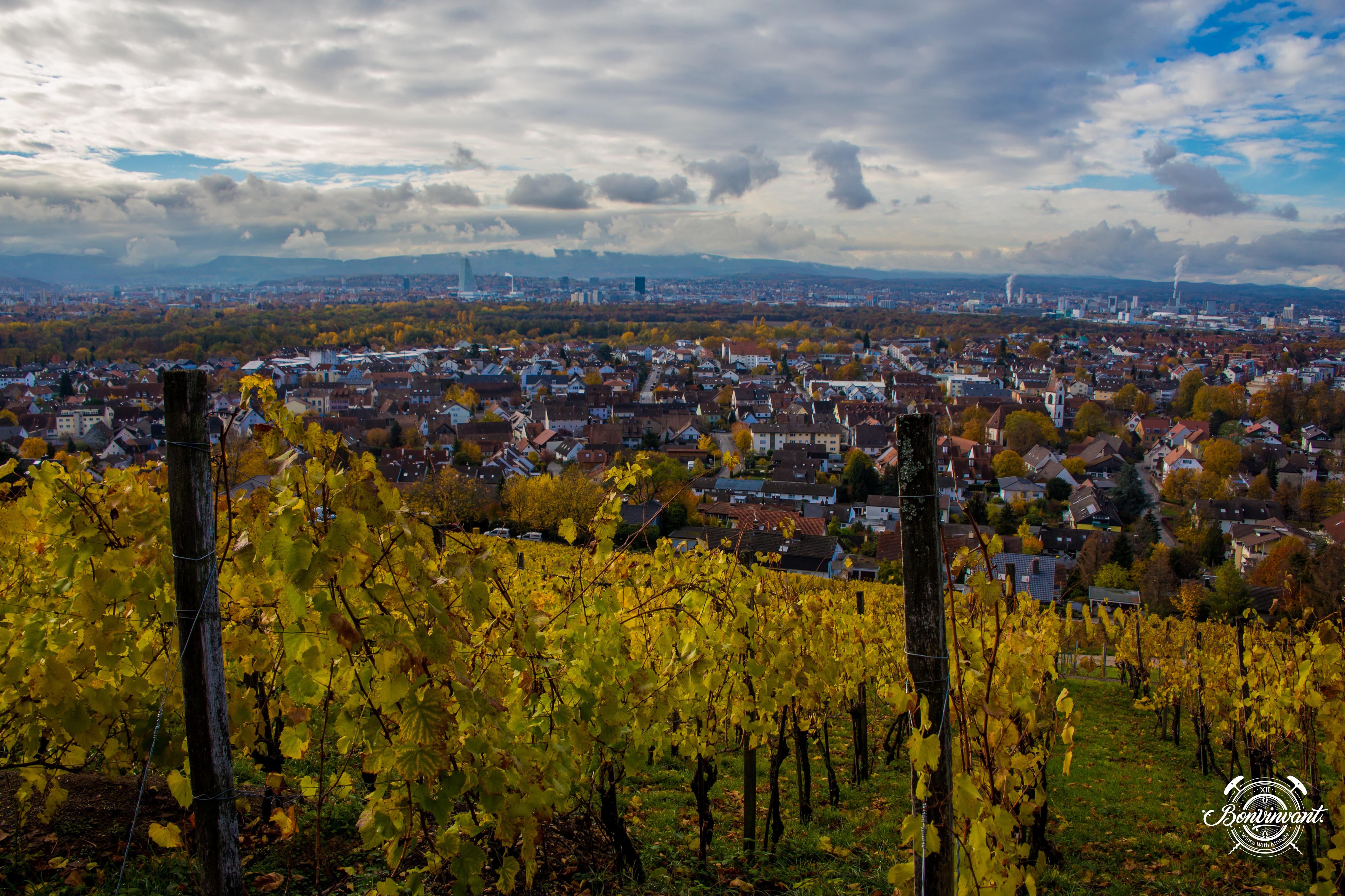 Weiler_Schlipf_08.11.2018_BVNT_web-13