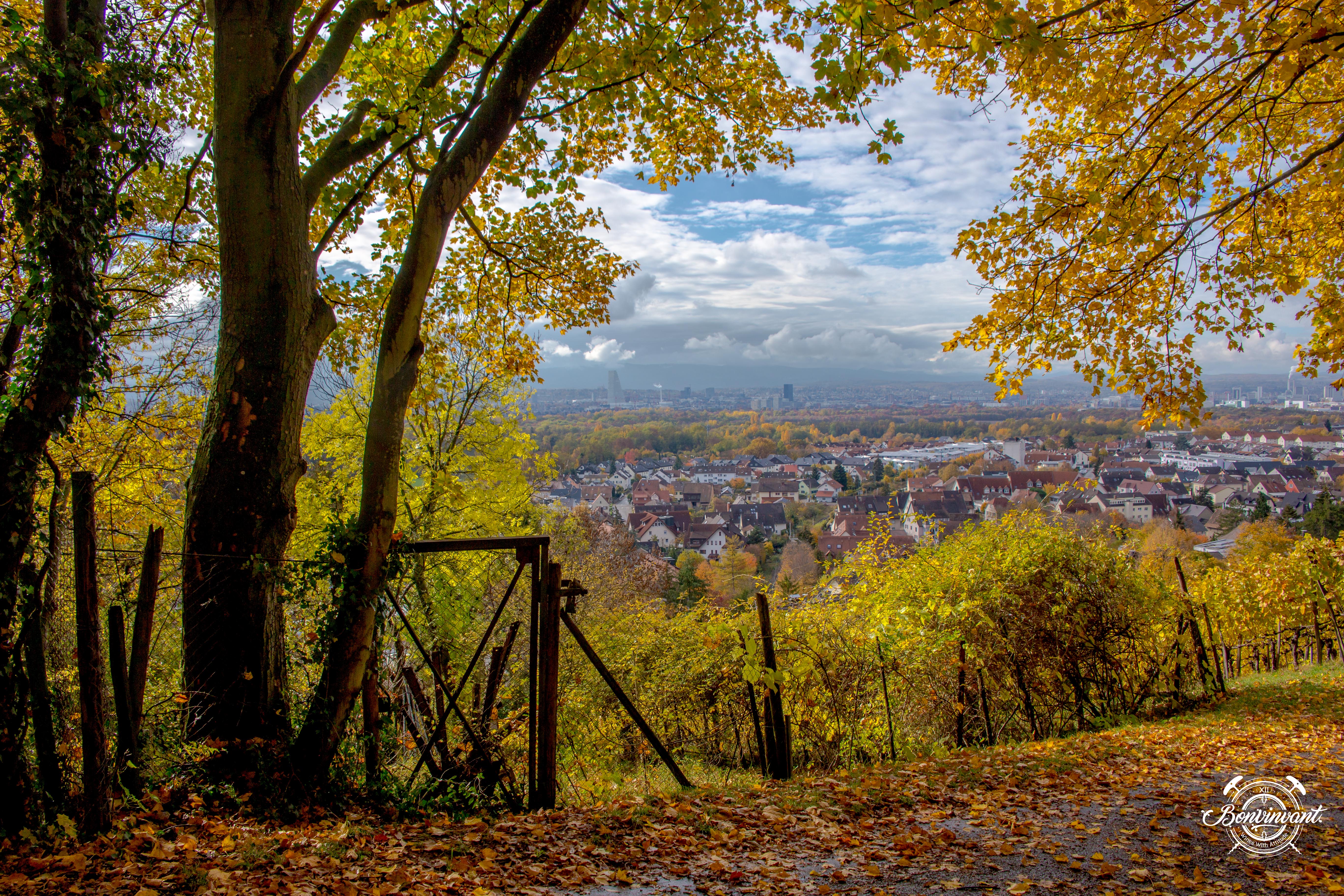 Weiler_Schlipf_08.11.2018_BVNT_web-21